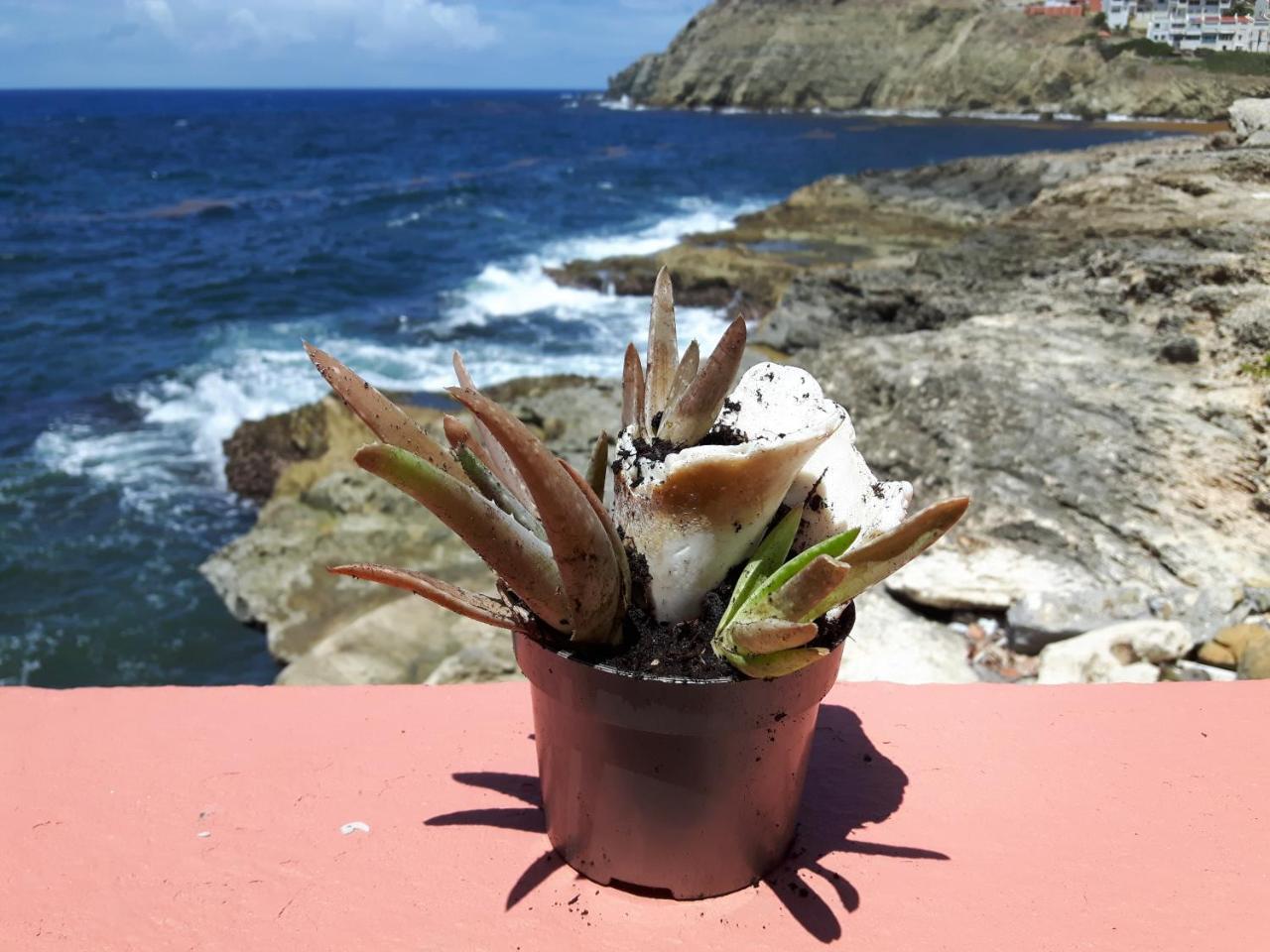 Ocean Shore Philipsburg  Exteriör bild